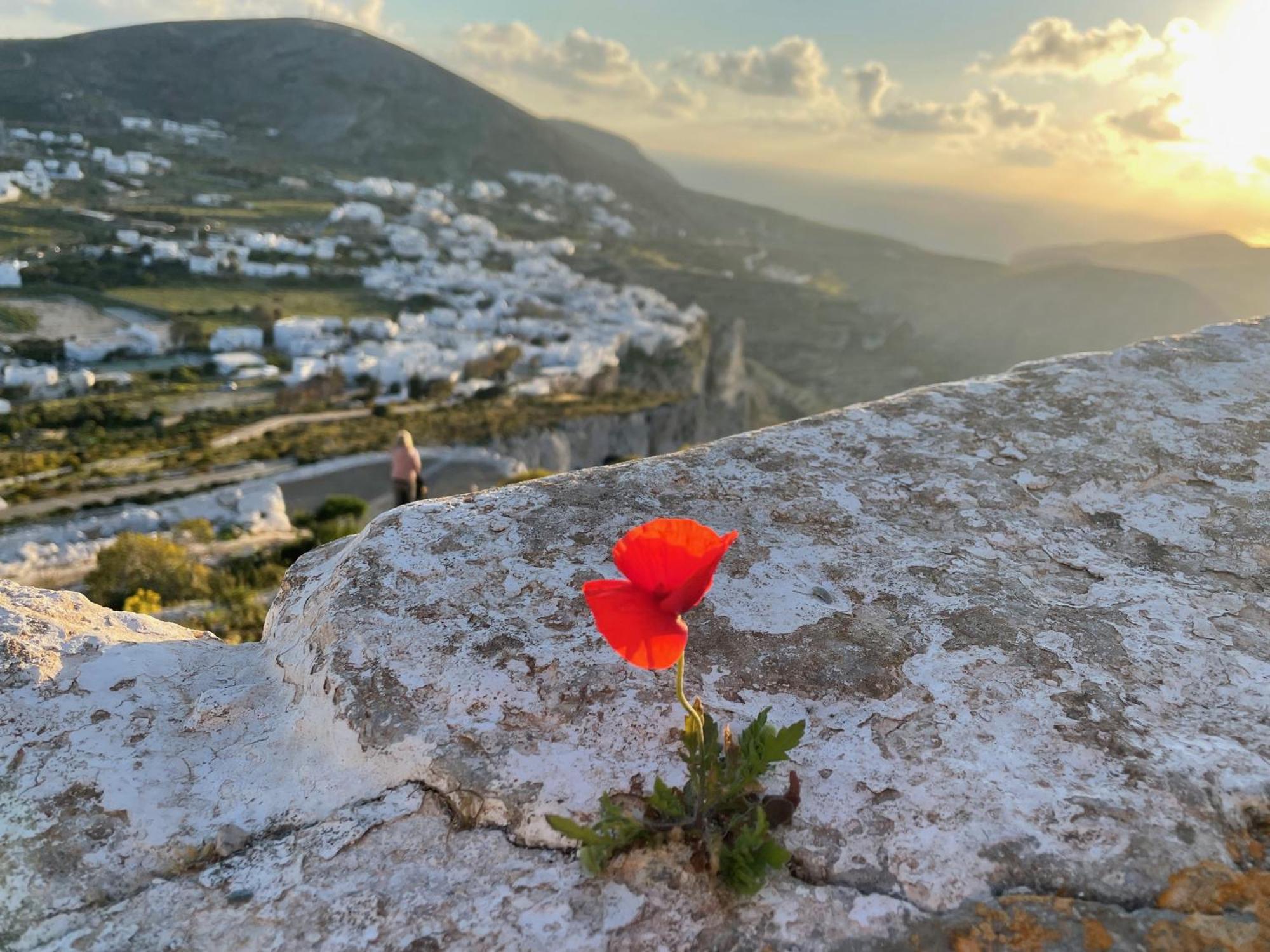 Folegandros-Cliffhouse Folegandros Town Exterior foto